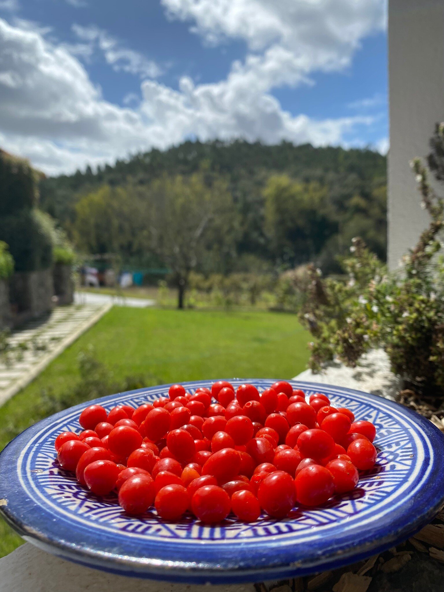 Food and Drinks 67