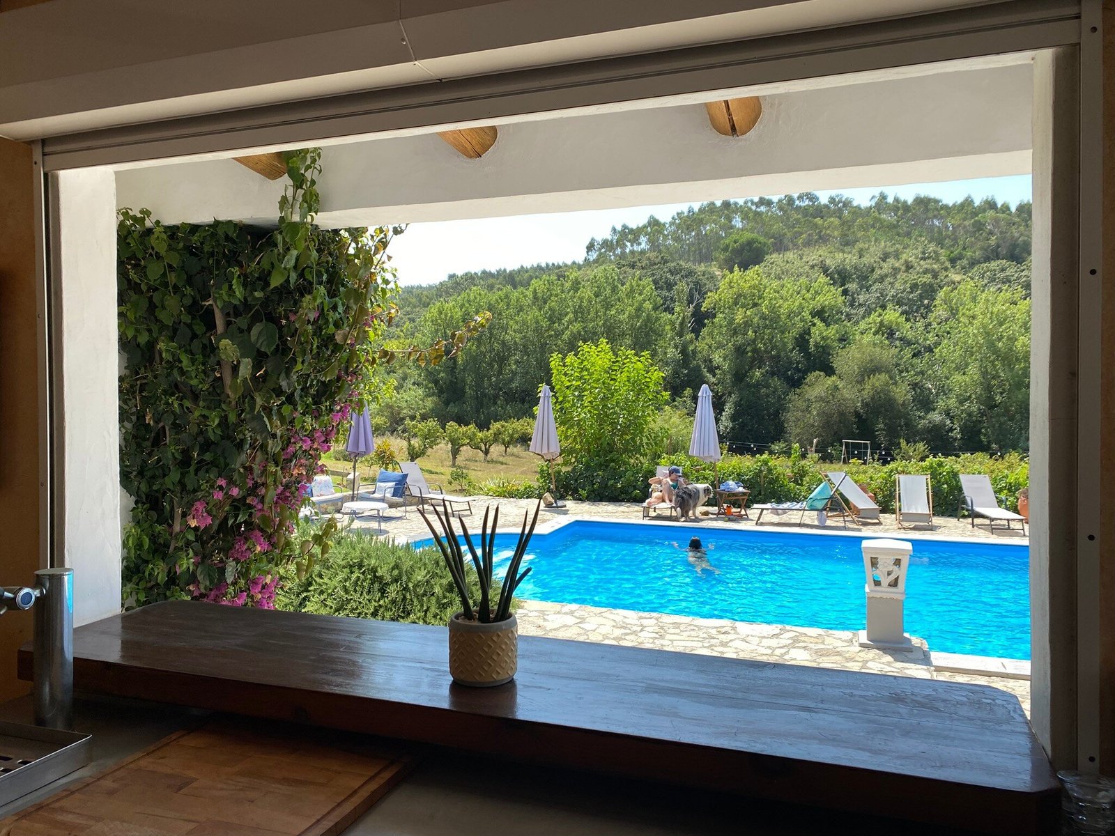 Outdoor Pool 35