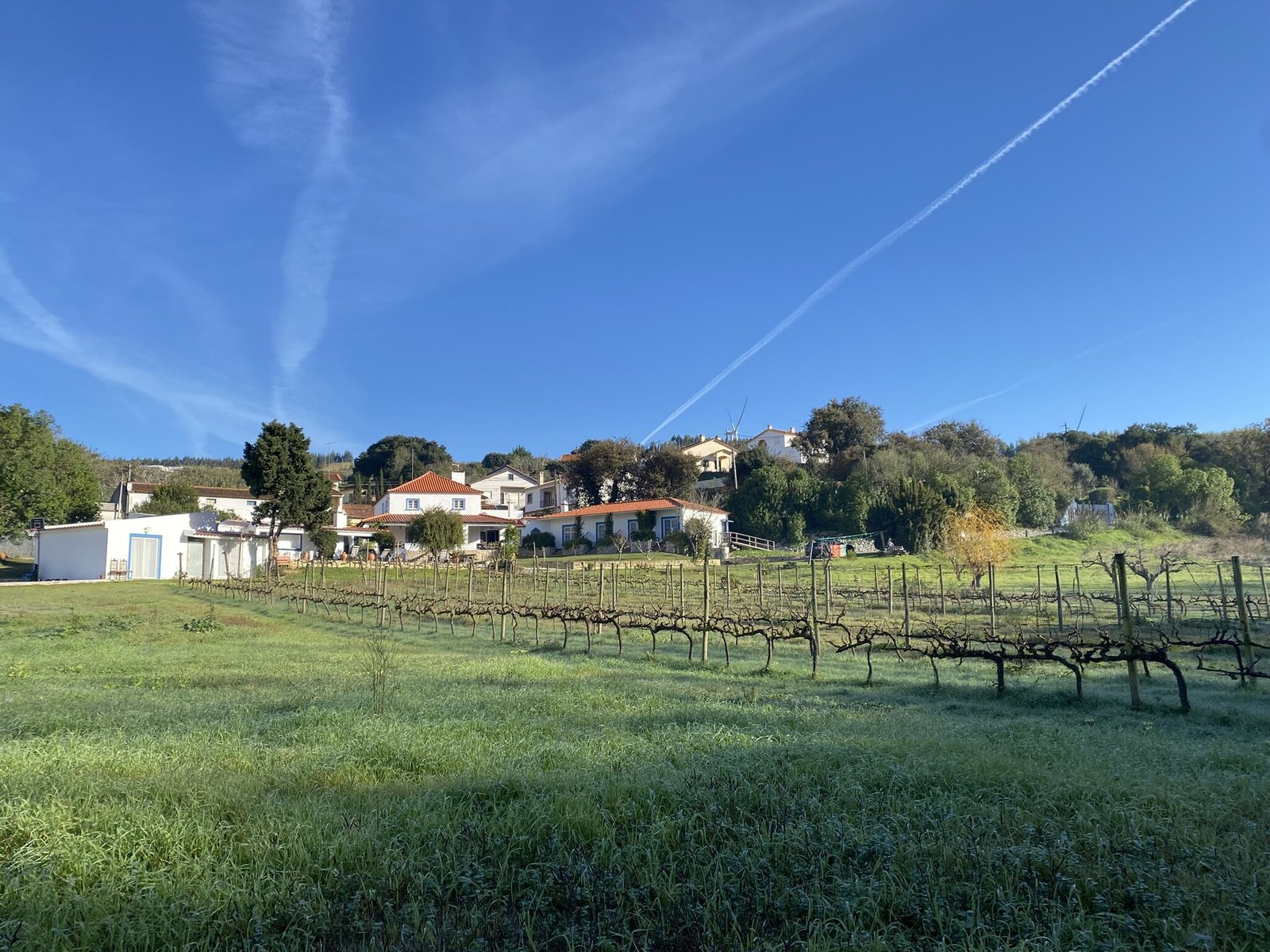 Quinta Mourada - Quinta
