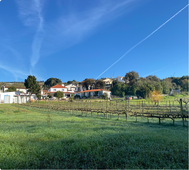 Quinta Mourada